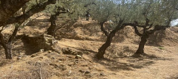  Hotel in Zakynthos, Greece No. 8629 11