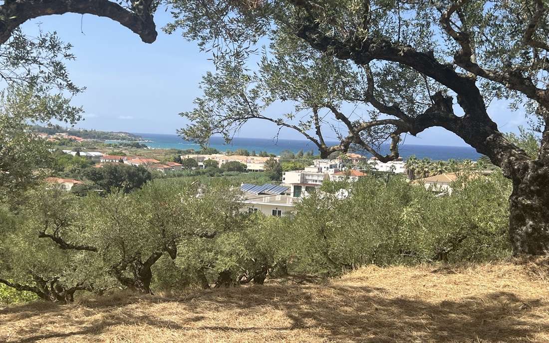 Grundstück in Zakynthos, Greece, Nr. 8629