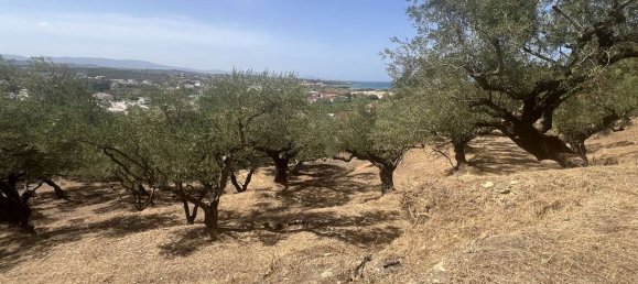Grundstück in Zakynthos, Greece, Nr. 8629 17