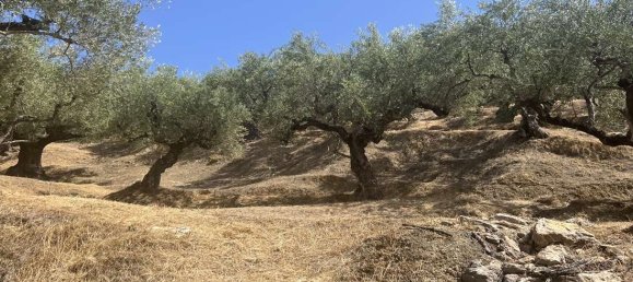  Hotel in Zakynthos, Greece No. 8629 10