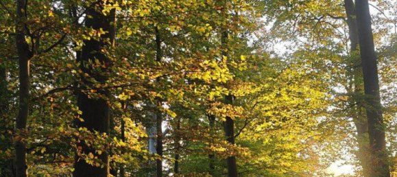 7 chambres Maison de ville à Hochtaunuskreis, Germany No. 340458 11