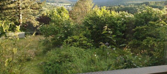 7 chambres Maison de ville à Hochtaunuskreis, Germany No. 340458 16