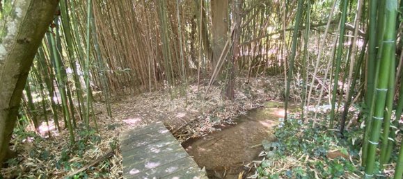 4 غرف نوم منزل في Beaugency, France رقم 262087 18