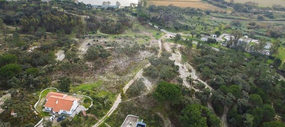 4 Schlafzimmer Haus in Coruche, Portugal, Nr. 181108 33