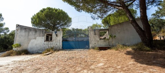 4 Schlafzimmer Haus in Coruche, Portugal, Nr. 181108 17