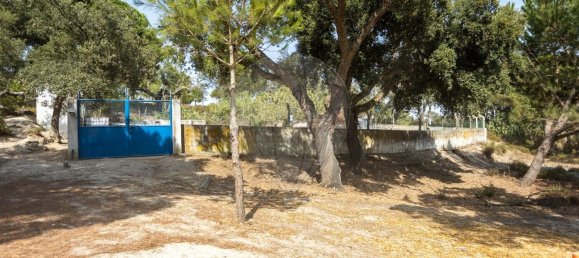 4 Schlafzimmer Haus in Coruche, Portugal, Nr. 181108 30