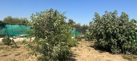 Земельный участок в Андалусия, Испания № 170667 15