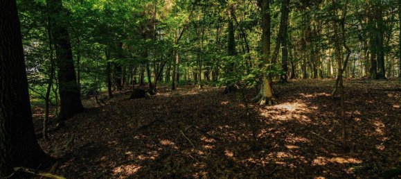 Grundstück in Leibnitz, Austria, Nr. 213594 8