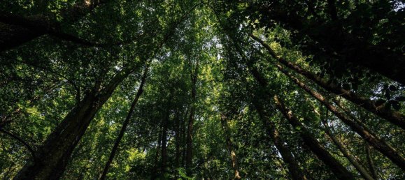 Grundstück in Leibnitz, Austria, Nr. 213594 9