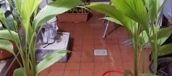 3 rooms Penthouse in San Lazzaro di Savena, Italy No. 35916 13