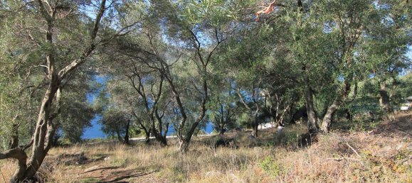 4300m² Hotel in Corfu, Greece No. 5383 5