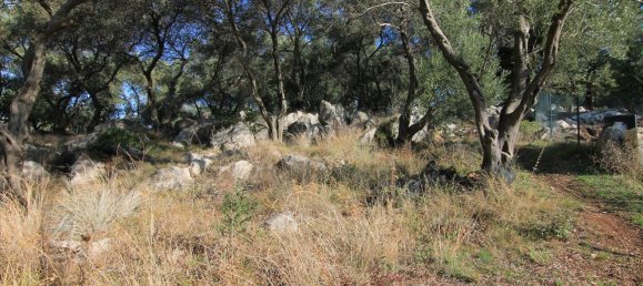 4300m² Hotel in Corfu, Greece No. 5383 3