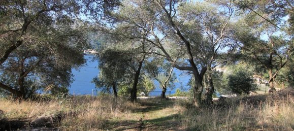 4300m² Hotel in Corfu, Greece No. 5383 2