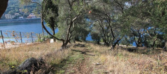 4300m² Hotel in Corfu, Greece No. 5383 4