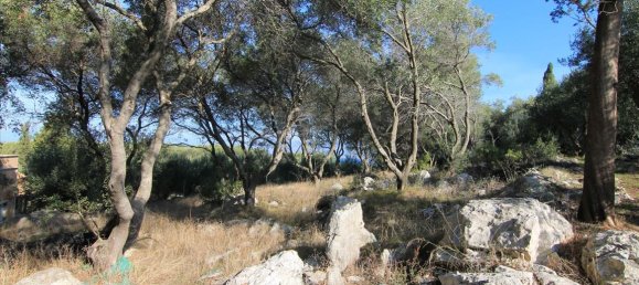  فندق في Corfu, Greece 4300متر مربع رقم 5383 7