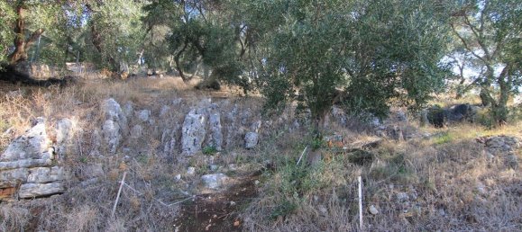 4300m² Hotel in Corfu, Greece No. 5383 8