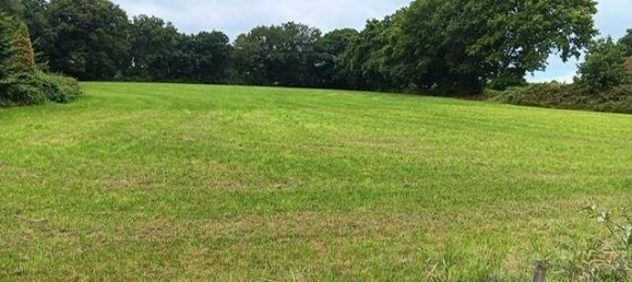 7 rooms Farm in Aurich, Germany No. 305025 9