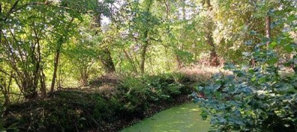 7 rooms Farm in Aurich, Germany No. 305025 11