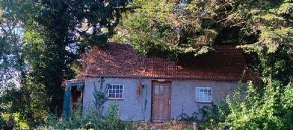 7 rooms Farm in Aurich, Germany No. 305025 10