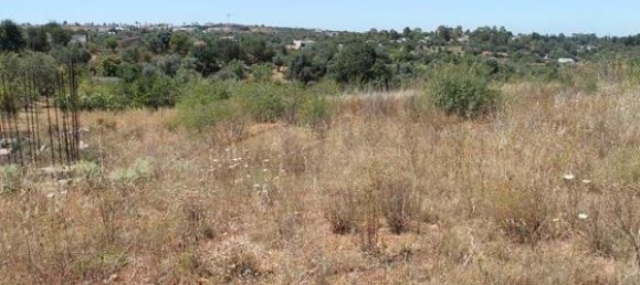 39 bedrooms Land in Lagoa, Portugal No. 152010 4