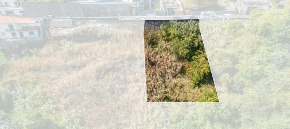 Grundstück in Funchal, Portugal, Nr. 294041 9