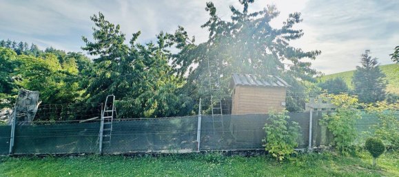 4 rooms Bungalow in Grieskirchen, Austria No. 134489 36