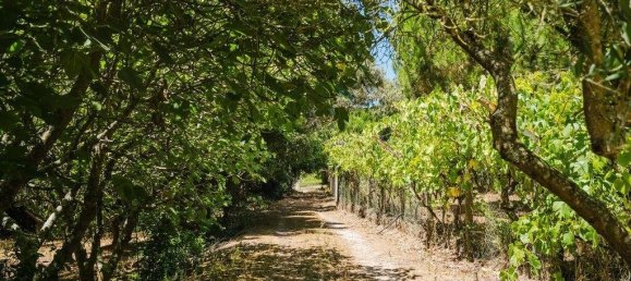 5 Schlafzimmer Schlösser in Moita dos Ferreiros, Portugal, Nr. 224264 28