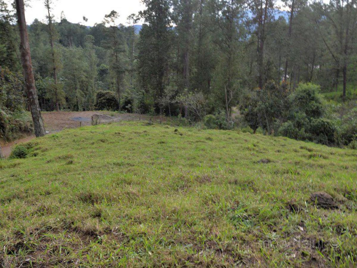  Land in Antioquia, Colombia No. 132