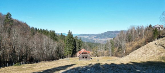 Grundstück in Feistritz im Rosental, Austria 36000m², Nr. 14349 4