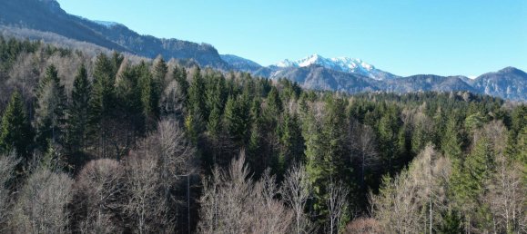 Grundstück in Feistritz im Rosental, Austria 36000m², Nr. 14349 2