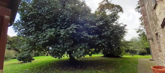 14 rooms House in Sarteano, Italy No. 31620 9