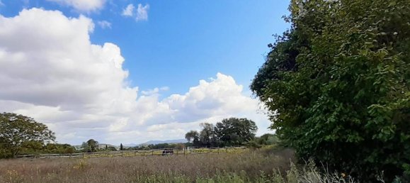 14 rooms House in Sarteano, Italy No. 31620 5