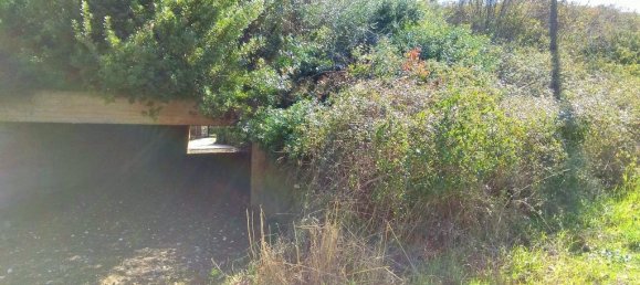 5200m² Hotel in Chalkidiki, Greece No. 5804 4