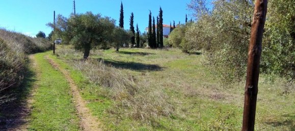 5200m² Hotel in Chalkidiki, Greece No. 5804 3