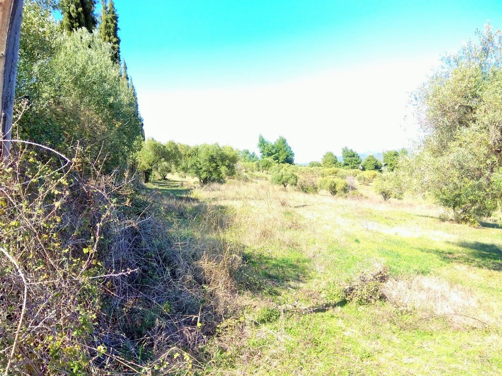 5200m² Hotel in Chalkidiki, Greece No. 5804