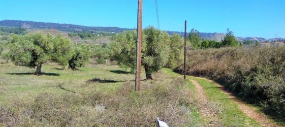 5200m² Hotel in Chalkidiki, Greece No. 5804 2