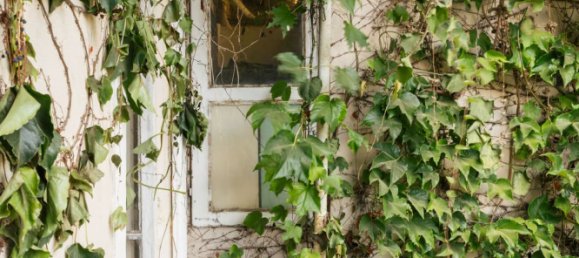 4 bedrooms Townhouse in Lisbon, Portugal No. 320290 14