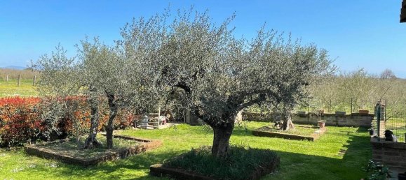 7-Zimmer Villa in Corchiano, Italy, Nr. 217784 10