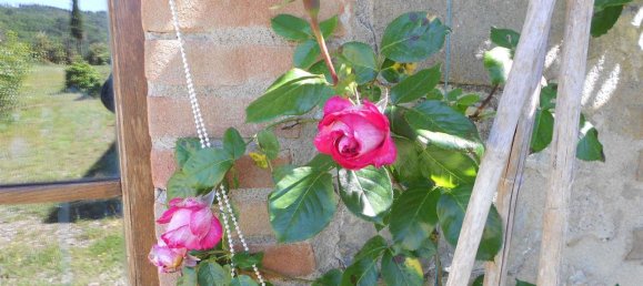 16 rooms Villa in Castelnuovo Berardenga, Italy No. 57611 4