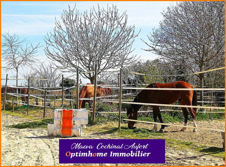 4 bedrooms Castles in Santeuil, France No. 69468