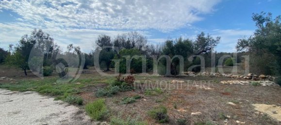 Grundstück in Sannicola, Italy 5030m², Nr. 172917 8