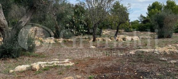 Grundstück in Sannicola, Italy 5030m², Nr. 172917 7