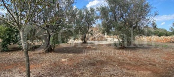 Grundstück in Sannicola, Italy 5030m², Nr. 172917 11