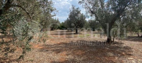 Grundstück in Sannicola, Italy 5030m², Nr. 172917 20