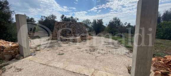 Grundstück in Sannicola, Italy 5030m², Nr. 172917 4