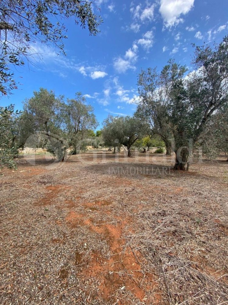 Grundstück in Sannicola, Italy 5030m², Nr. 172917