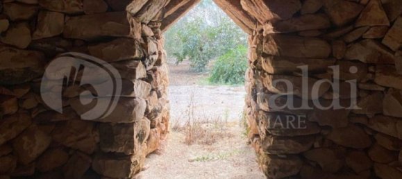 Grundstück in Sannicola, Italy 5030m², Nr. 172917 22