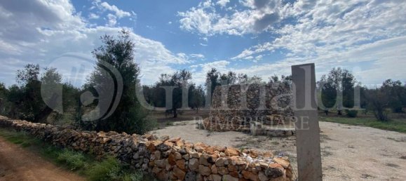 Grundstück in Sannicola, Italy 5030m², Nr. 172917 5