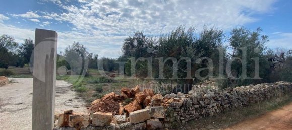 Grundstück in Sannicola, Italy 5030m², Nr. 172917 13