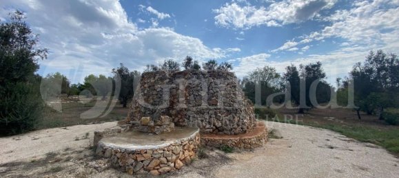 Grundstück in Sannicola, Italy 5030m², Nr. 172917 23